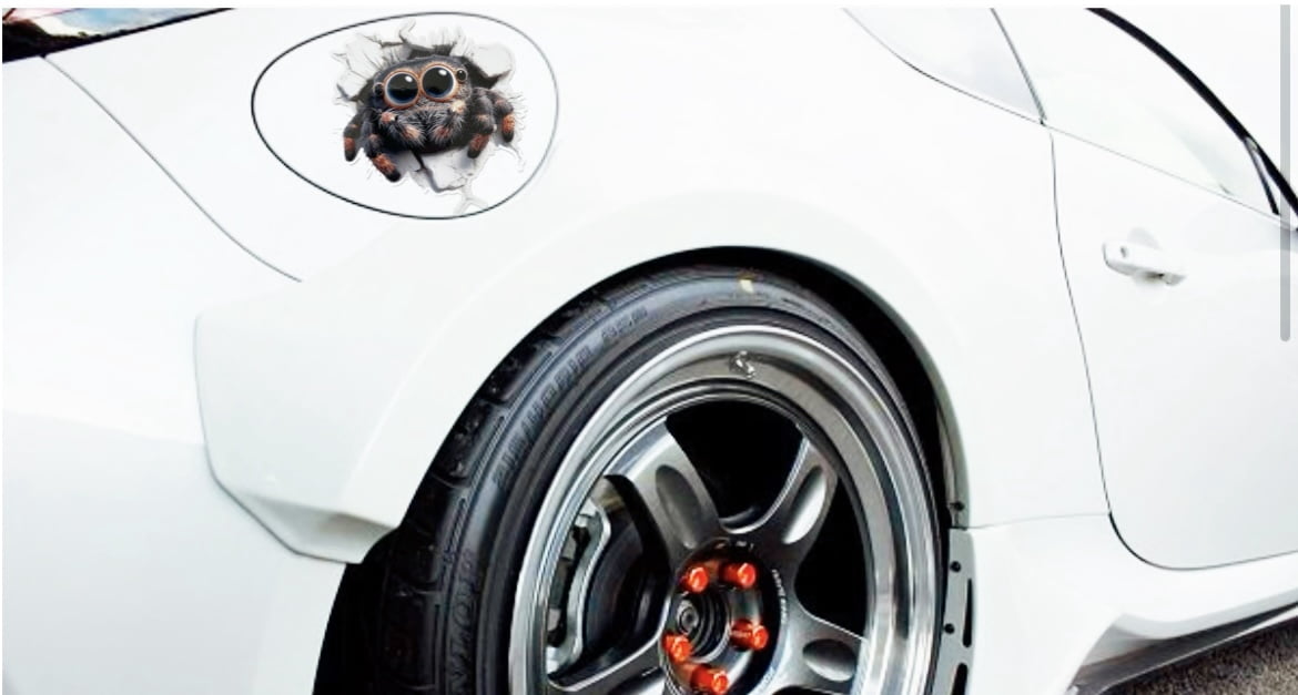 Spider 3D Wall Cracker Einziga – Laptop Unique Accessories Bewertung und Preis