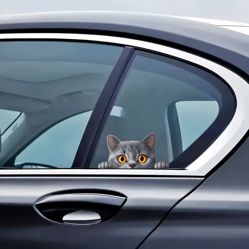 Eine kleine graue Katze, niedl – Laptop Unique Accessories Bewertung und Preis