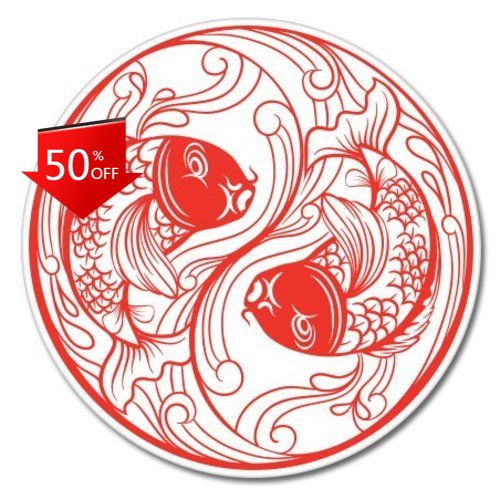Koi Fish Yin Yang Einzigartige – Laptop Unique Accessories Bewertung und Preis